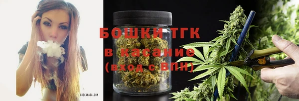 прущие грибы Новодвинск