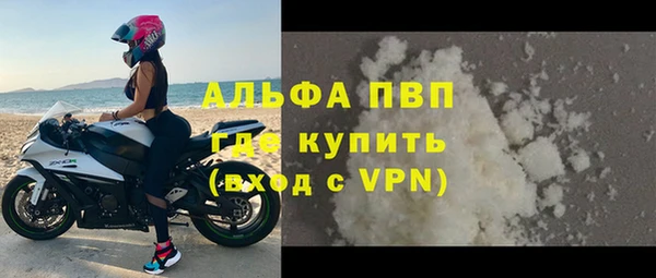 сатива Нефтекумск
