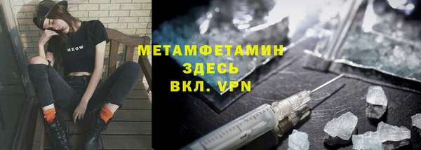 прущие грибы Новодвинск