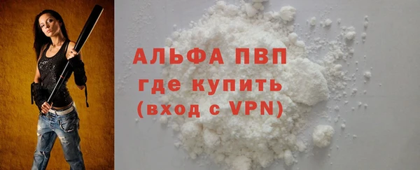 прущие грибы Новодвинск