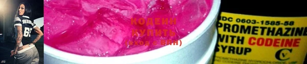 прущие грибы Новодвинск