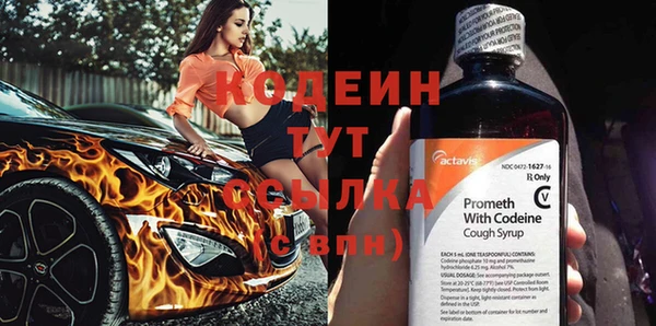 прущие грибы Новодвинск