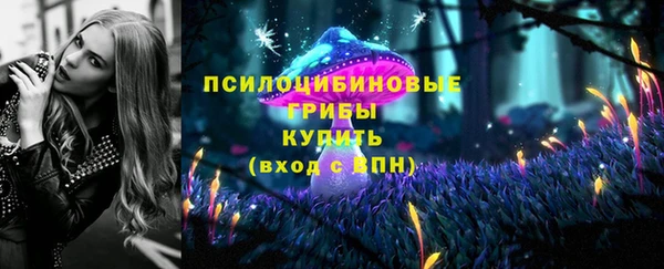 apvp Нефтегорск