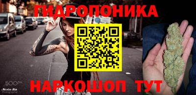 меф Гатчина