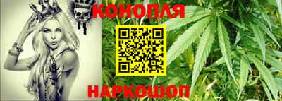 меф Гатчина