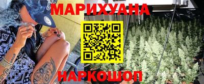 гидра Гай