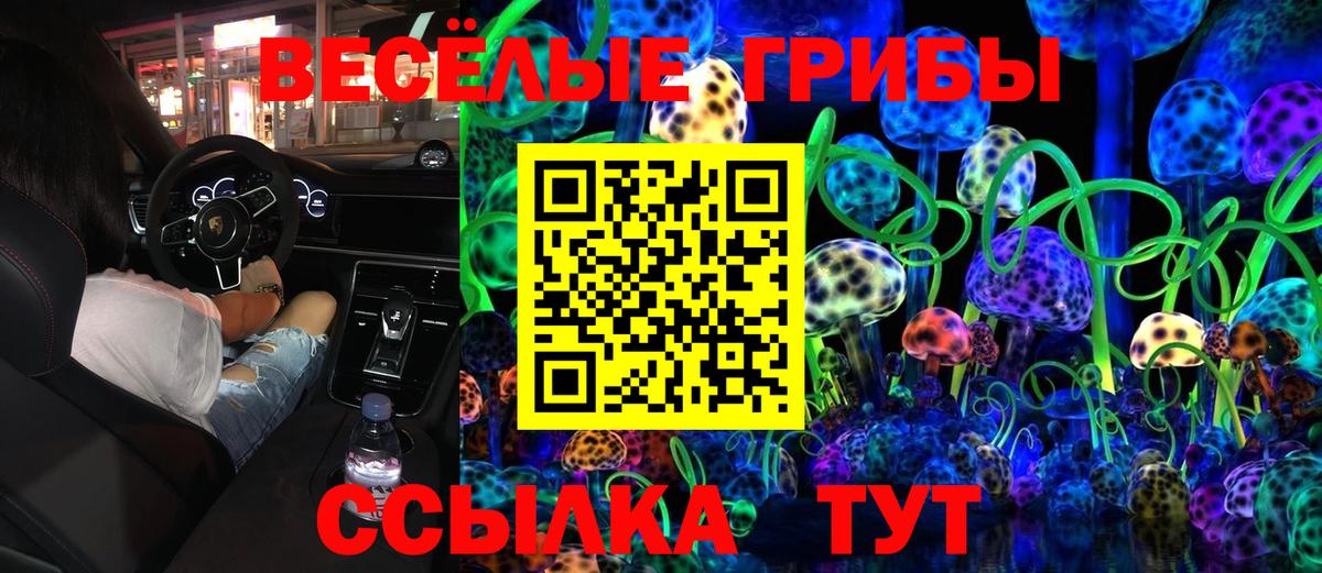 Галлюциногенные грибы Cubensis Калининград
