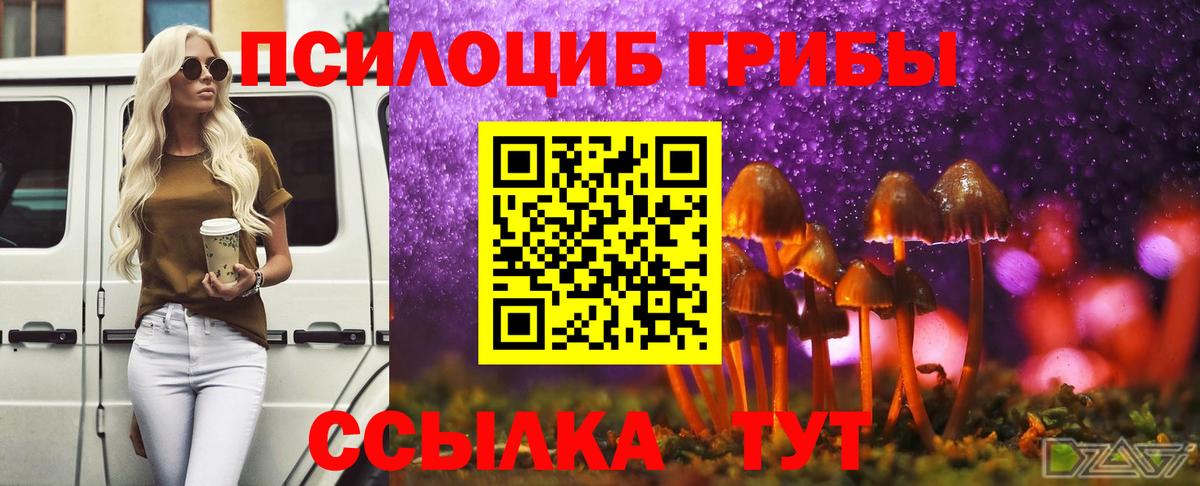 Псилоцибиновые грибы прущие грибы Калининград