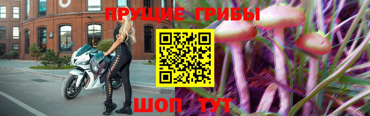 Калининград  Псилоцибиновые грибы GOLDEN TEACHER  Псилоцибиновые грибы прущие грибы  хочу   Вход с VPN 