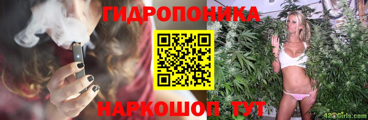Бошки Шишки индика  Вход с VPN  Калининград  Бошки Шишки THC 21%  МАРИХУАНА марихуана 